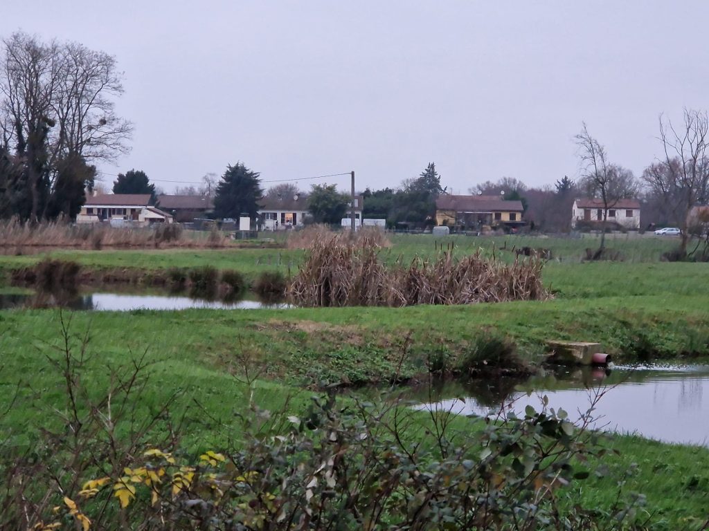 les 3 lagunes de La Truchère