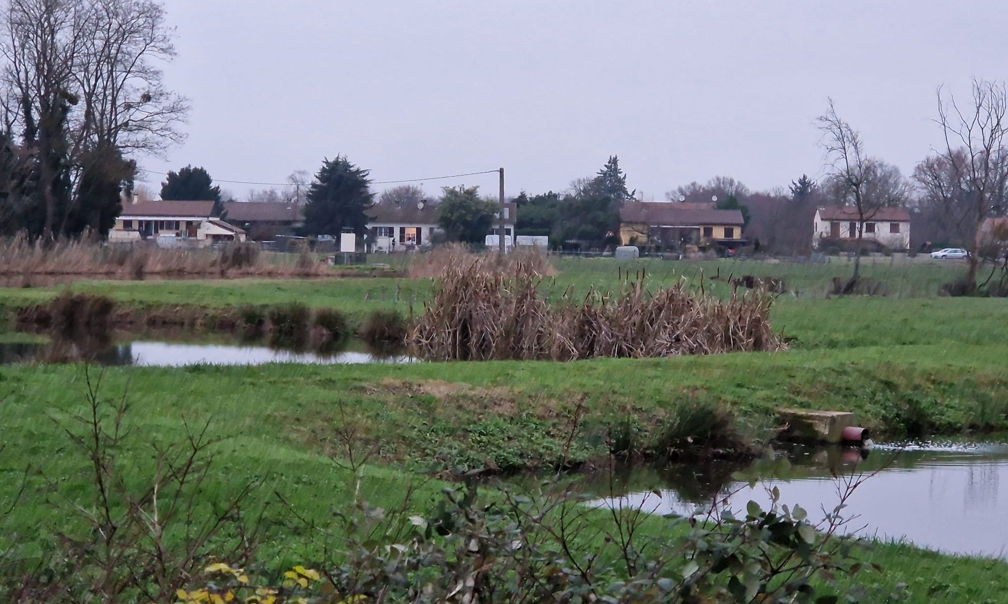 les 3 lagunes de La Truchère