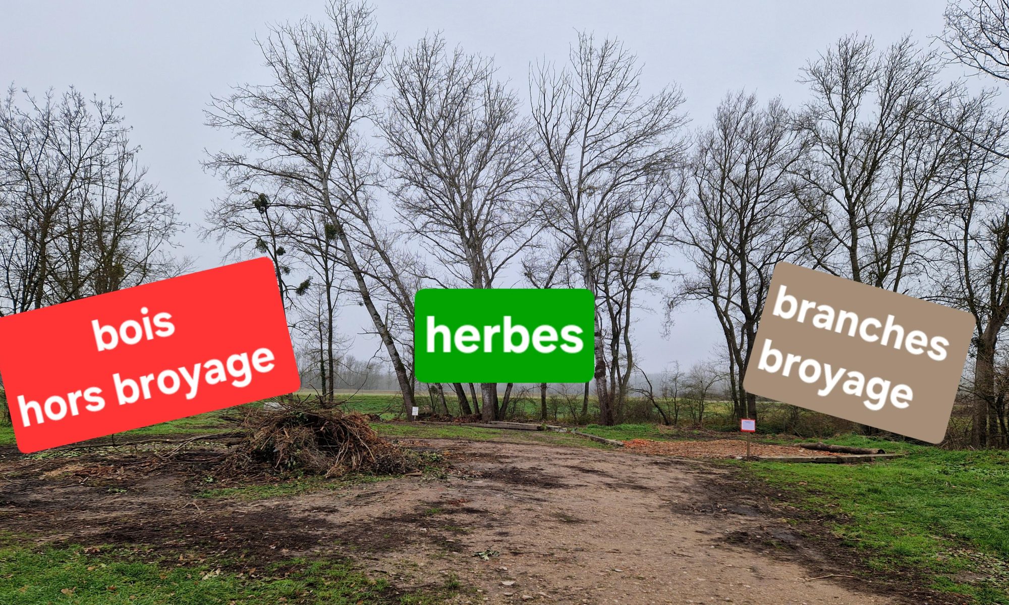 remblais avec 3 zones, à gauche le bois à bruler, en centre au fond, l'herbe et à droite, l'élagage pour broyage.