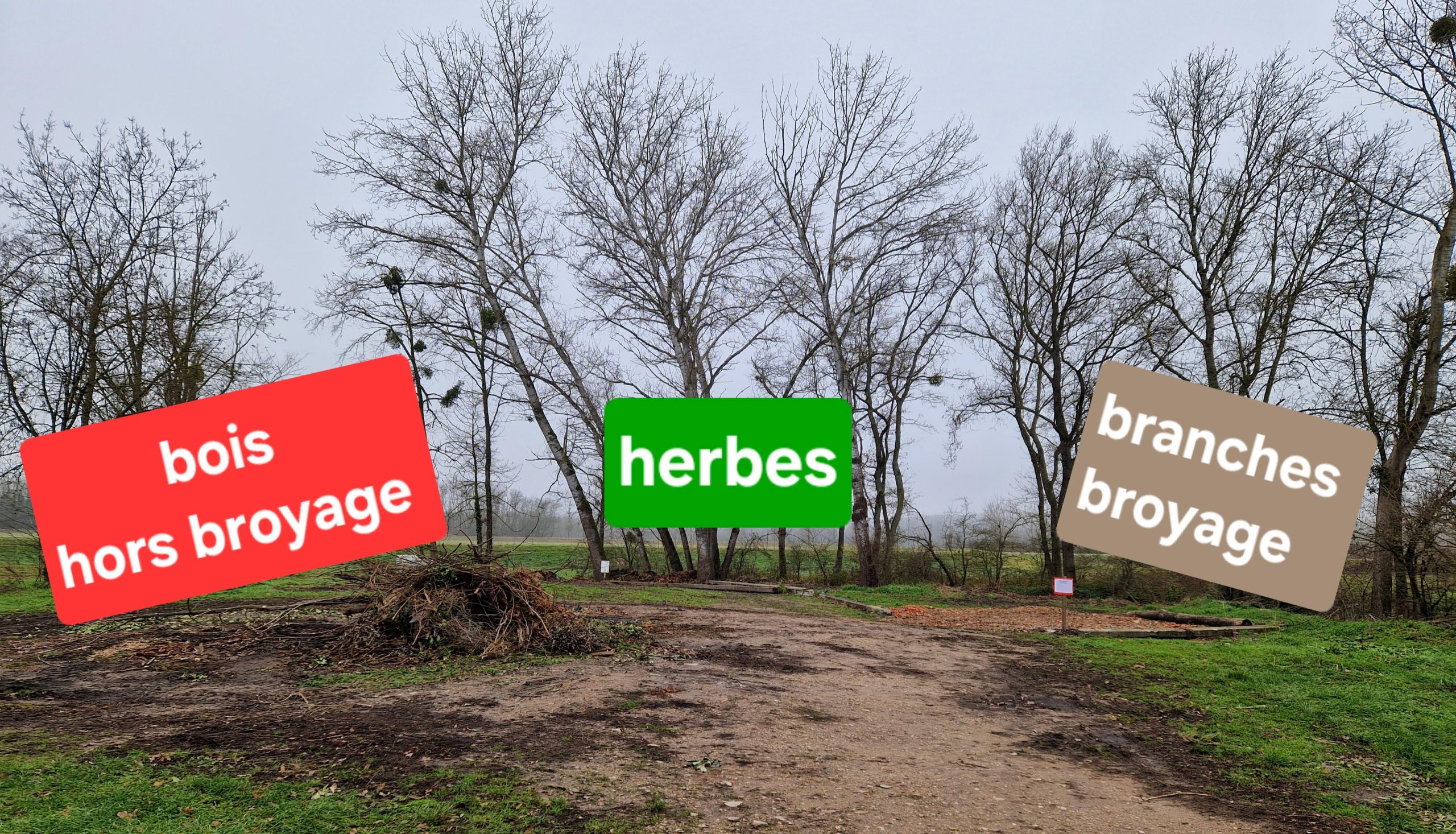 remblais avec 3 zones, à gauche le bois à bruler, en centre au fond, l'herbe et à droite, l'élagage pour broyage.